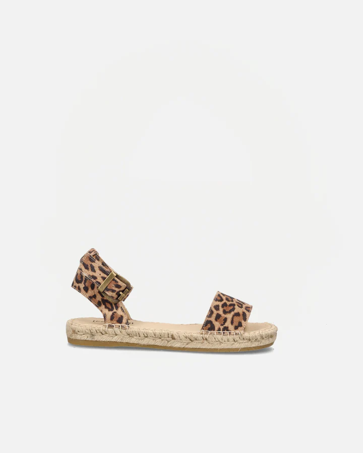 Nimes Leo | Leopard